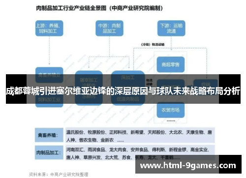 成都蓉城引进塞尔维亚边锋的深层原因与球队未来战略布局分析