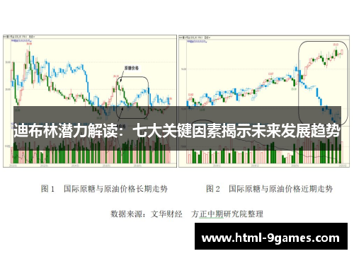 迪布林潜力解读：七大关键因素揭示未来发展趋势
