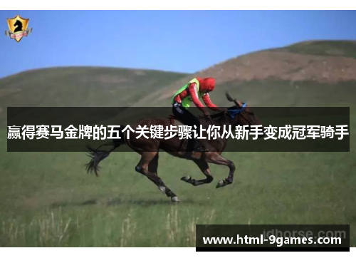 赢得赛马金牌的五个关键步骤让你从新手变成冠军骑手