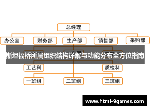 斯坦福桥所属组织结构详解与功能分布全方位指南