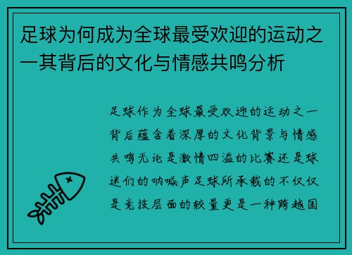 足球为何成为全球最受欢迎的运动之一其背后的文化与情感共鸣分析